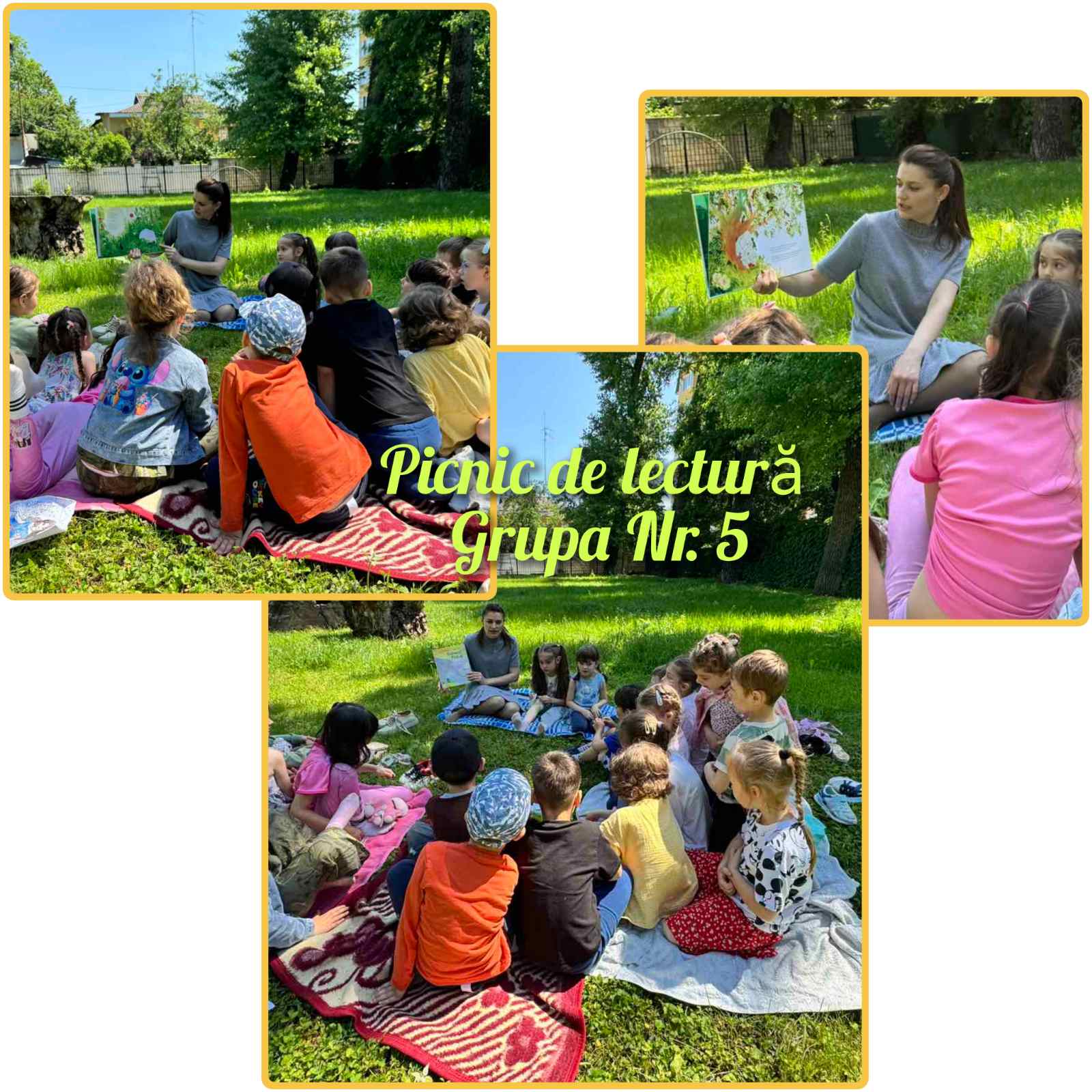 PICNIC DE LECTURĂ